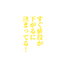 すぐ値段が下がるに決まってる！