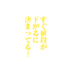 すぐ値段が下がるに決まってる!