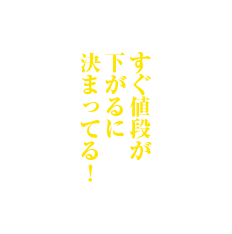 すぐ値段が下がるに決まってる！